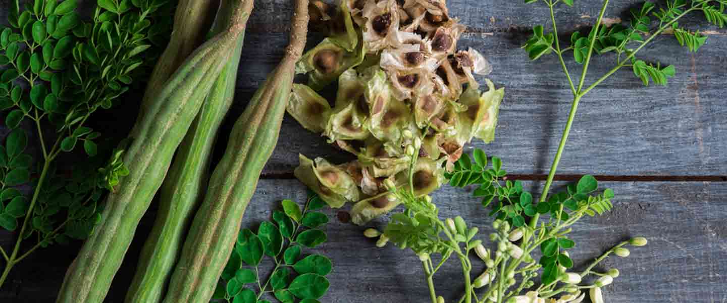 Wat ass Moringa Téi, Wat sinn dVirdeeler vum Moringa Téi?